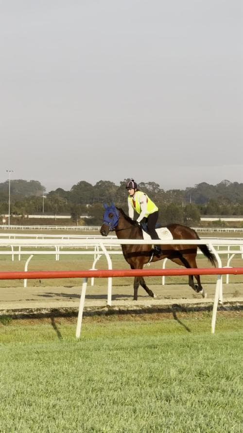 Picture of the author