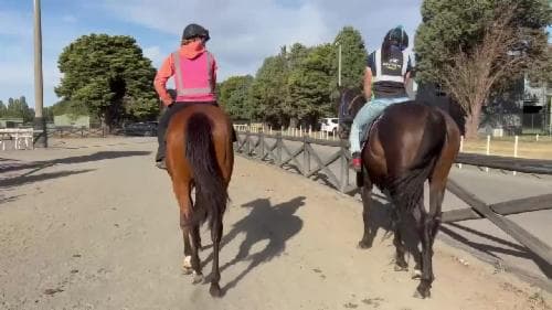 Picture of the author