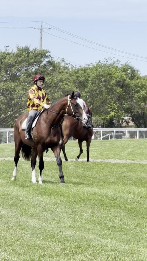 Picture of the author