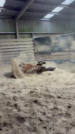 Picture of the author